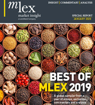Best of MLex 2019