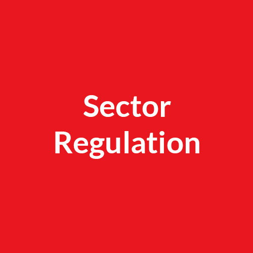 Sector Regulation polaroid
