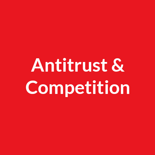 Antitrust Competition polaroid