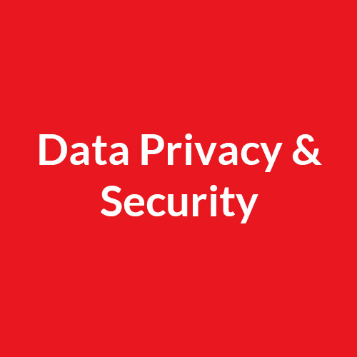 Data Privacy Security polaroid